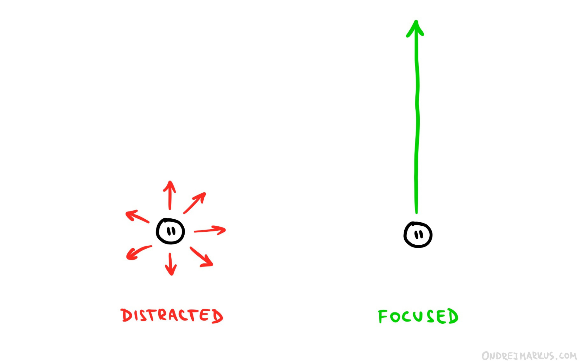 Don&rsquo;t spread yourself in too many directions. Focus.