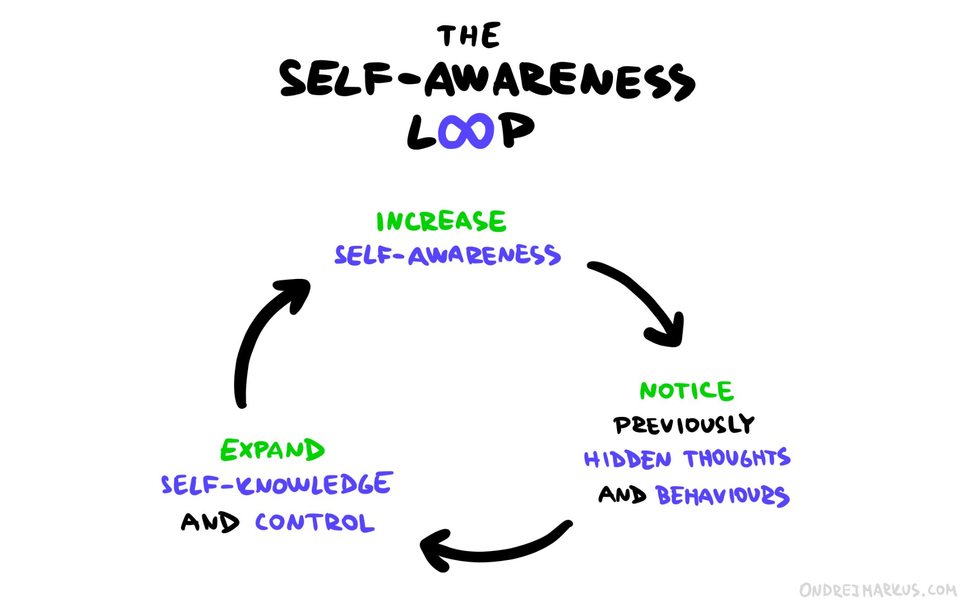 The self-awareness loop
