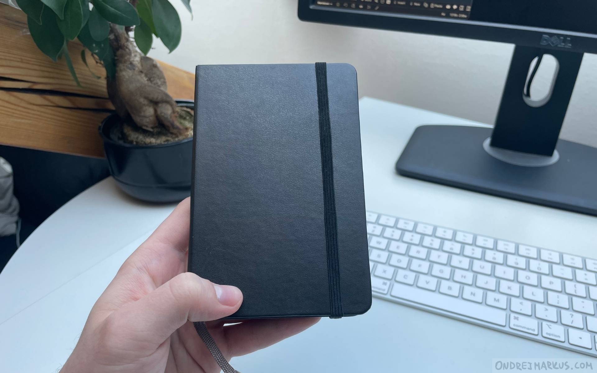 My first-ever journal